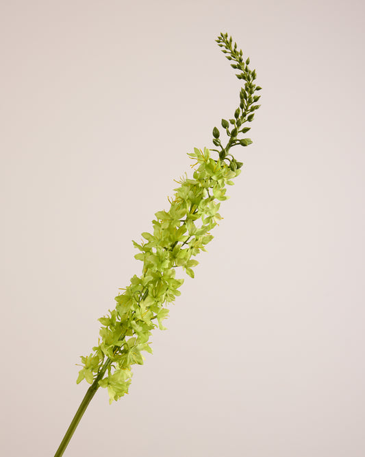 GREEN REAL TOUCH DELPHINIUM