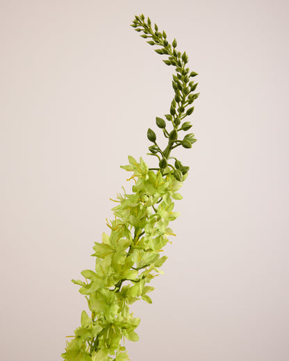 GREEN REAL TOUCH DELPHINIUM