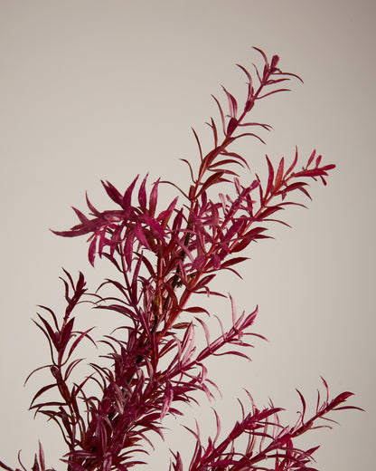 FOLIAGE SPRAY IN DEEP RED
