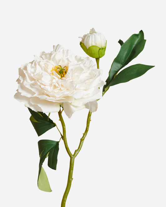 LUXURY REAL TOUCH VINTAGE PEONY WHITE