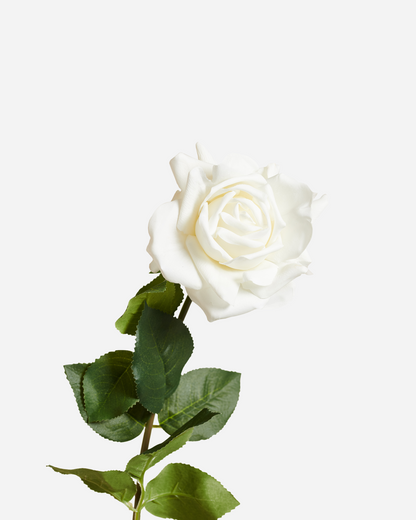REAL TOUCH ROSE WHITE