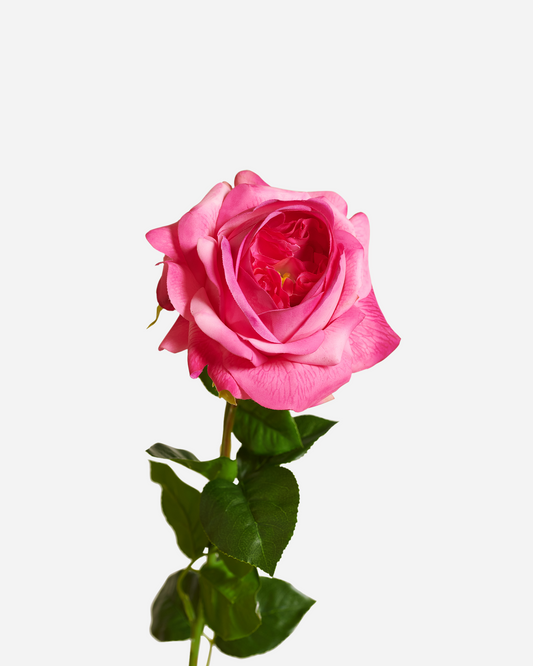 REAL TOUCH PEONY HOT PINK
