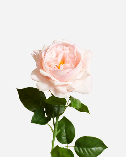 REAL TOUCH PEONY PINK