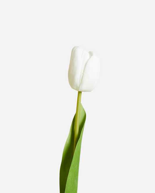 REAL TOUCH TULIPS WHITE