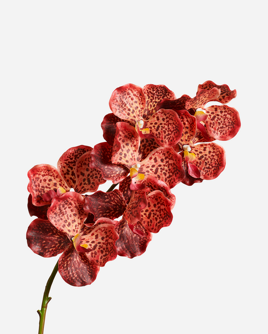 LUXURY REAL TOUCH ORCHIDS BURNT ORANGE