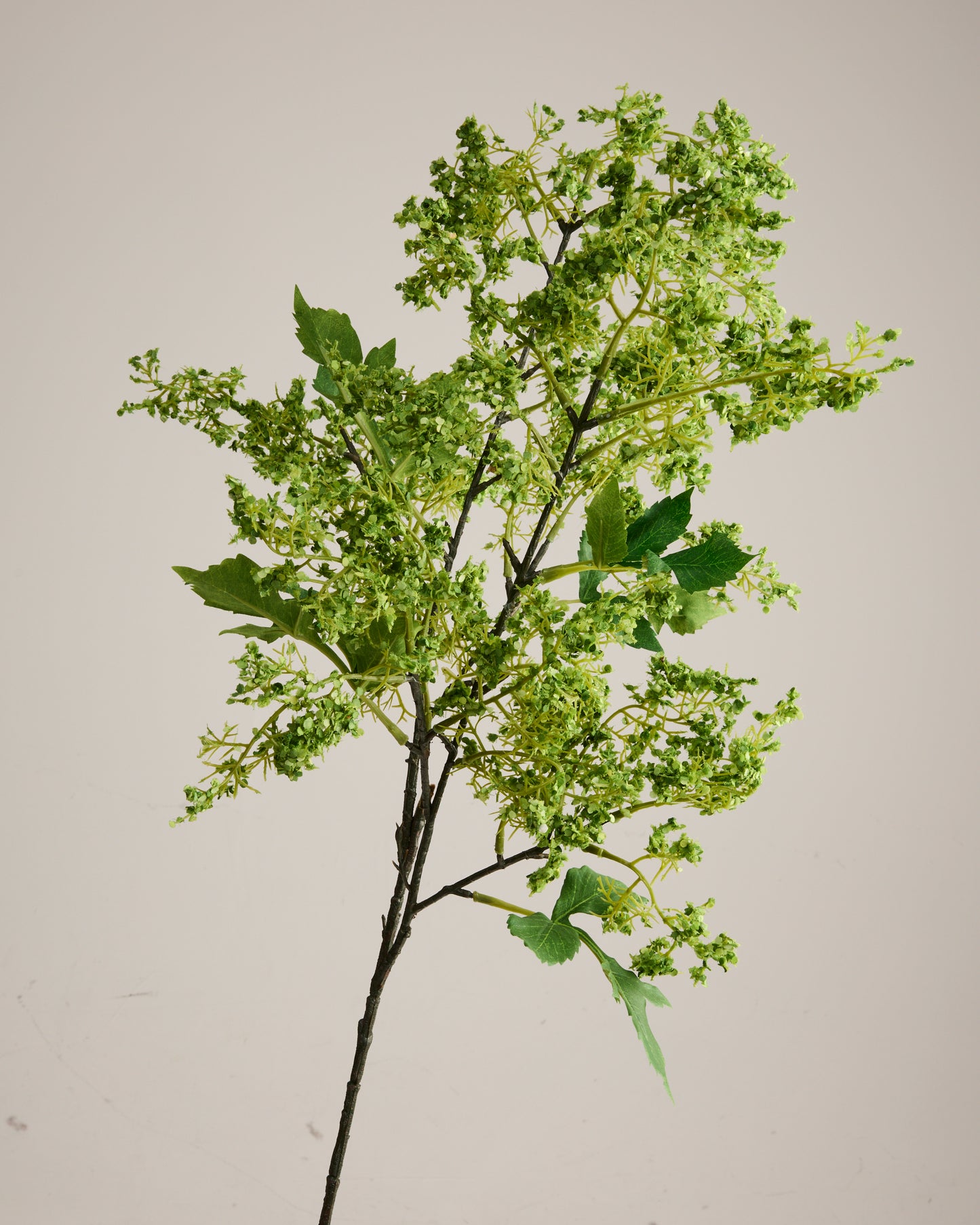 LARGE FOLIAGE AND HYDRANGEA ARRANGEMENT