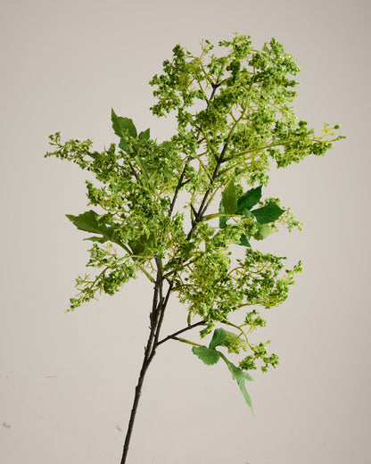 LARGE FOLIAGE AND HYDRANGEA ARRANGEMENT