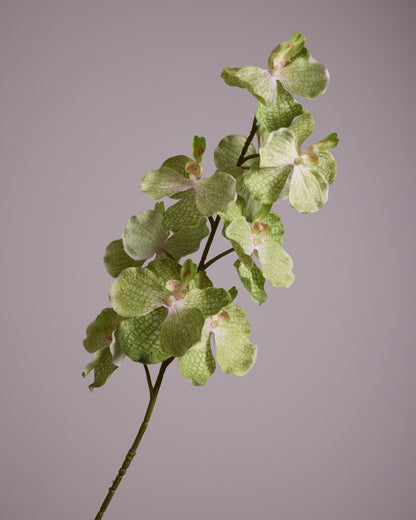LIME GREEN SILK ORCHID