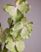 LARGE LIME GREEN SILK ORCHID