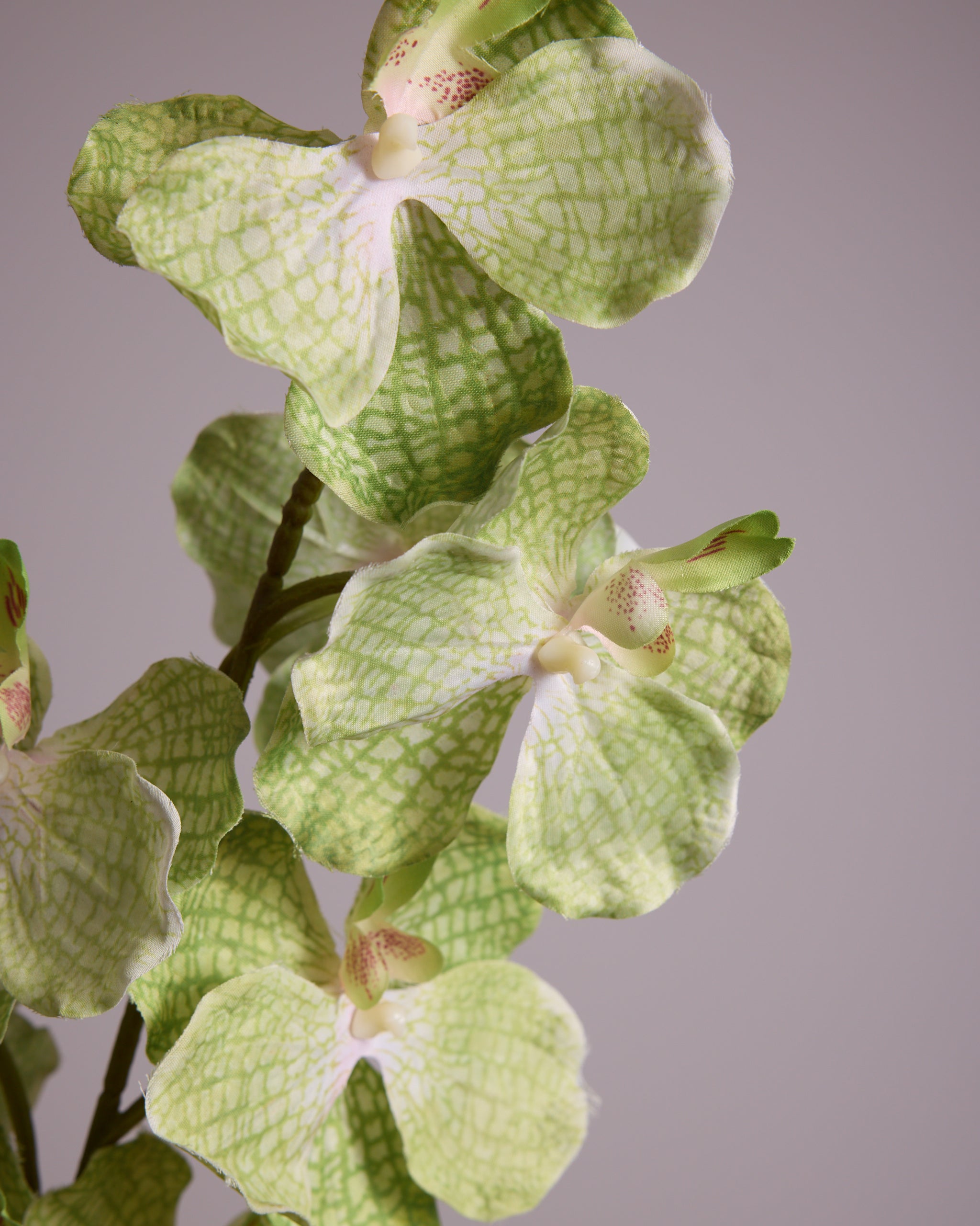 LARGE LIME GREEN SILK ORCHID