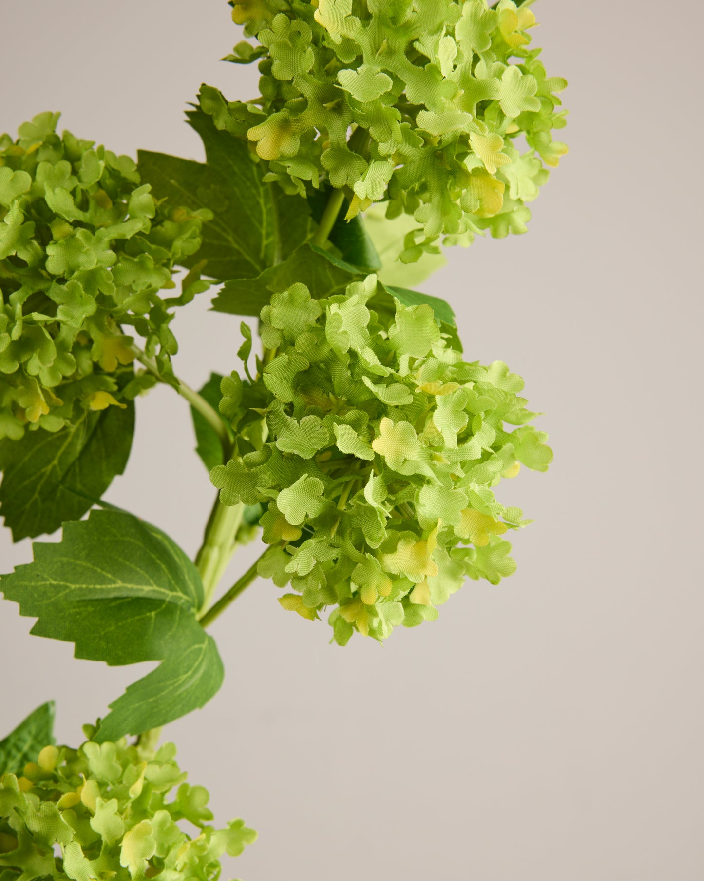 HYDRANGEA BALLS IN GREEN