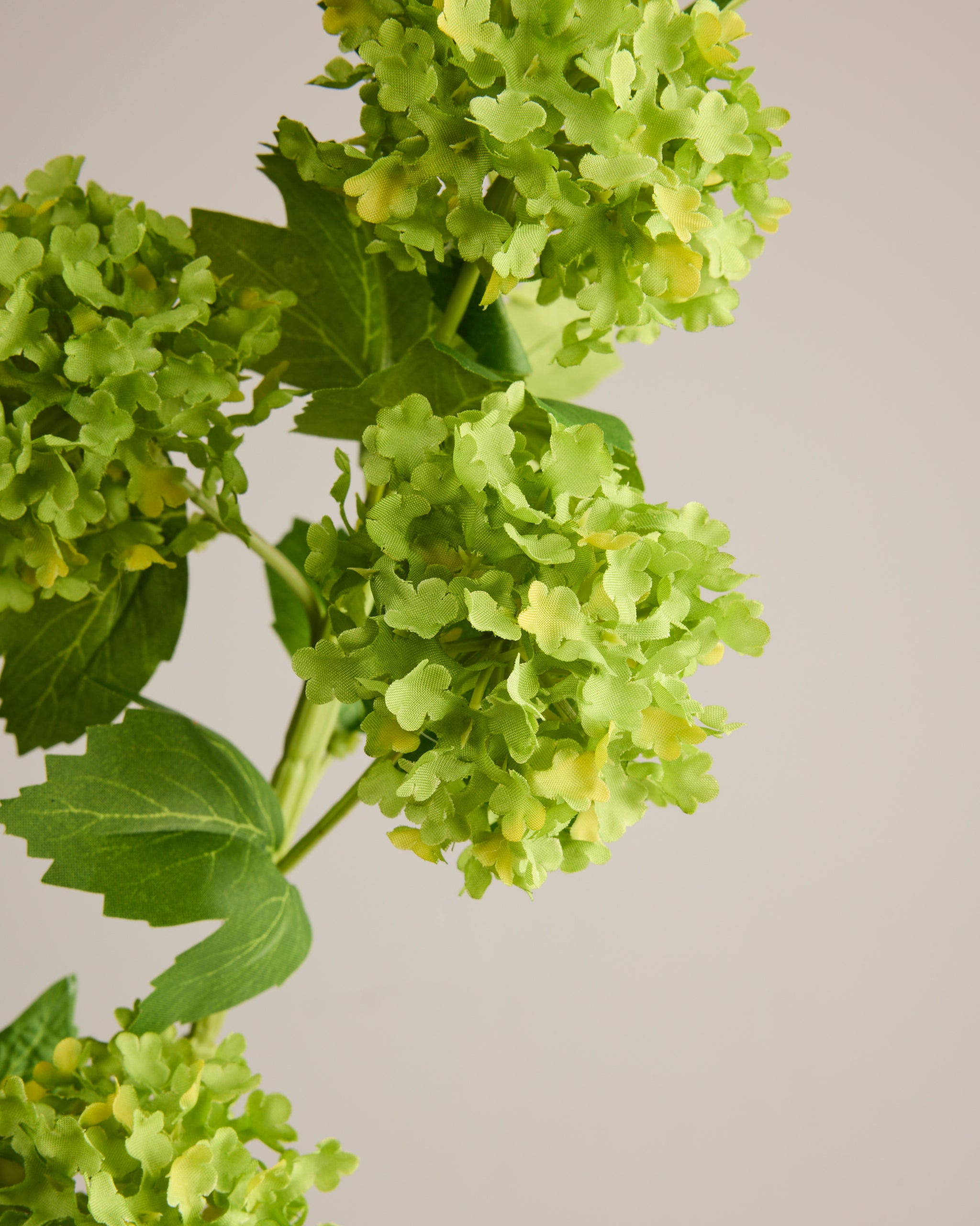 HYDRANGEA BALLS IN GREEN