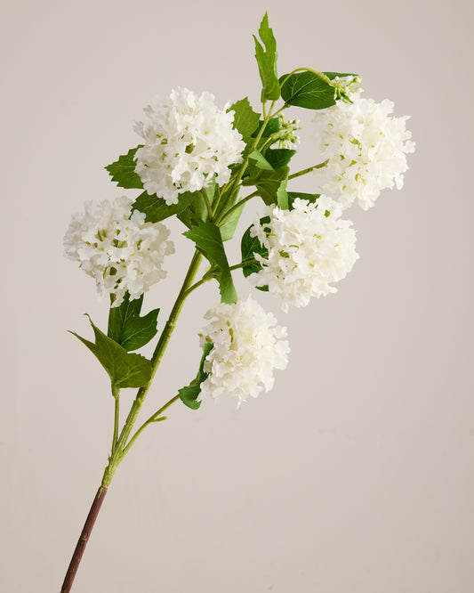 HYDRANGEA BALLS IN WHITE