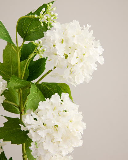 HYDRANGEA BALLS IN WHITE