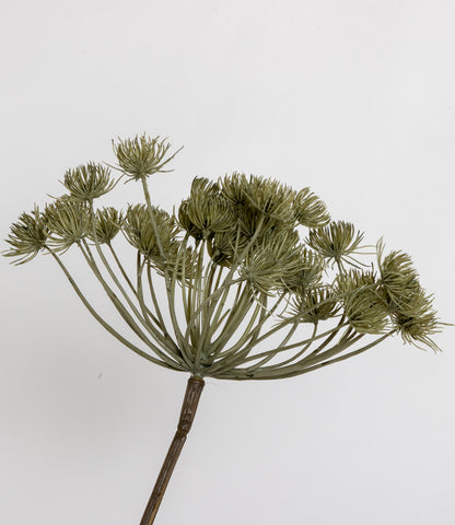 HOGWEED SPRAY GREY