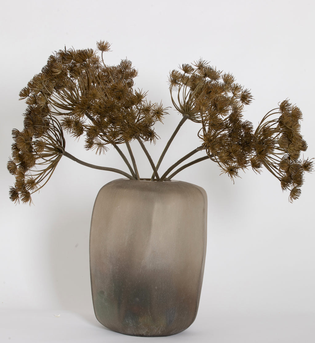 HOGWEED SPRAY BROWN