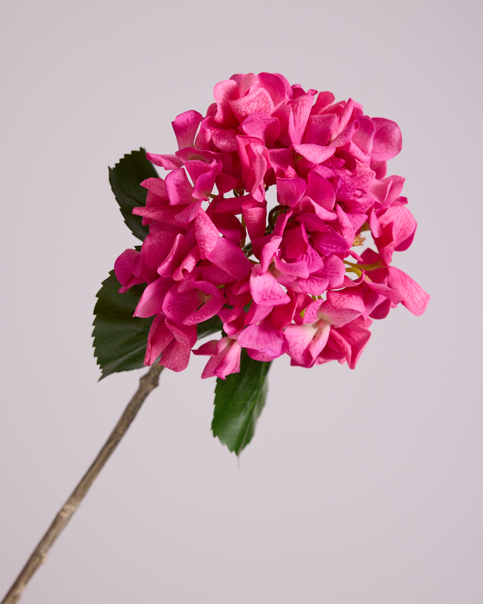 ABSOLUTE LUXURY REAL TOUCH HYDRANGEA IN HOT PINK