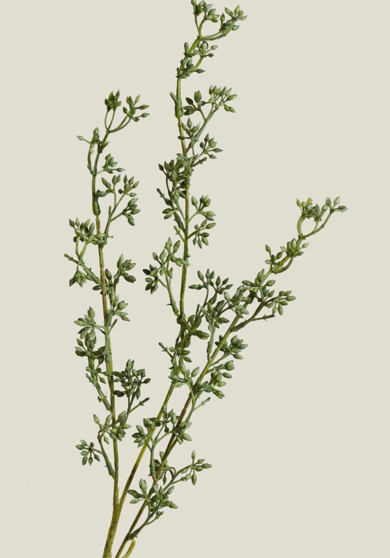 RUSTIC SPRAY GREEN