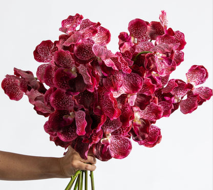 LUXURY REAL TOUCH ORCHIDS HOT PINK