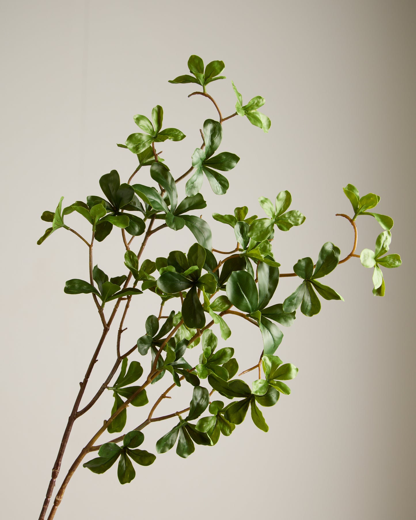 JAPANESE ENKIANTHUS LEAF SPRAY