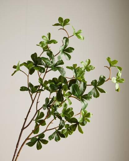 JAPANESE ENKIANTHUS LEAF SPRAY