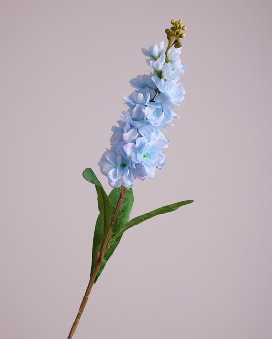 LIGHT BLUE DELPHINIUM