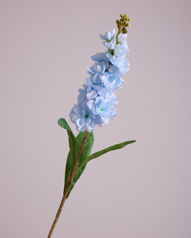 DELPHINIUM IN LIGHT BLUE