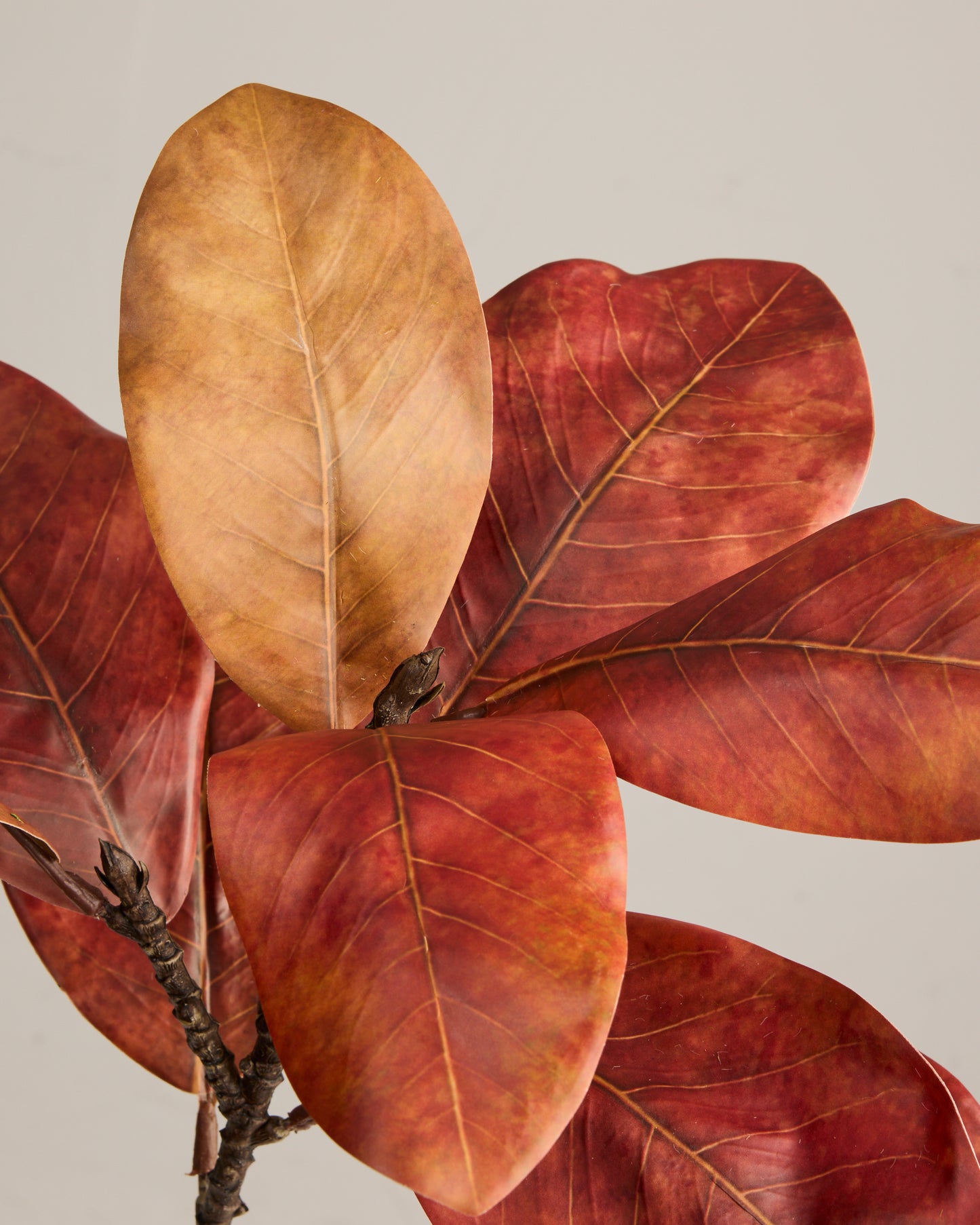 MAGNOLIA BRANCH IN BURNT ORANGE