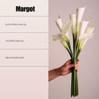 MARGOT