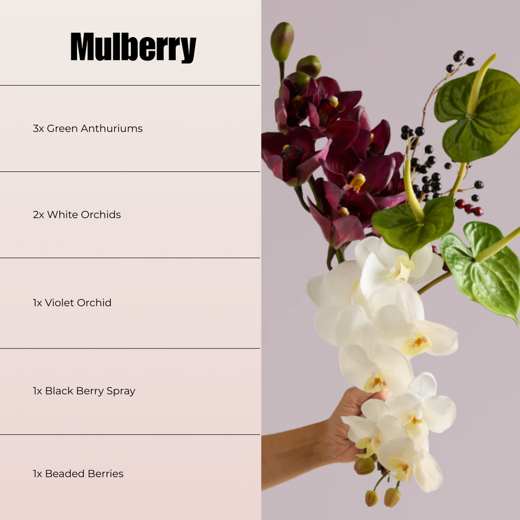 MULBERRY