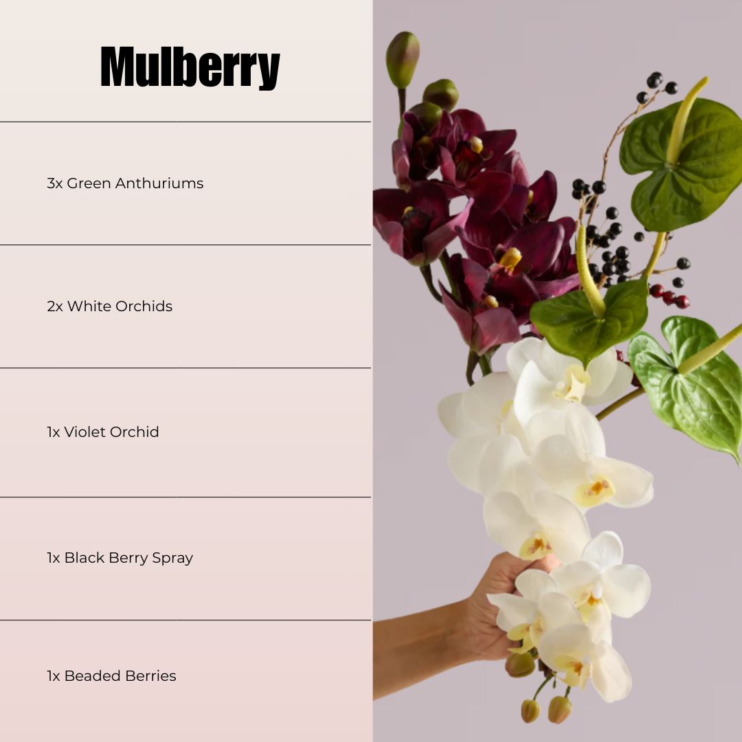 MULBERRY