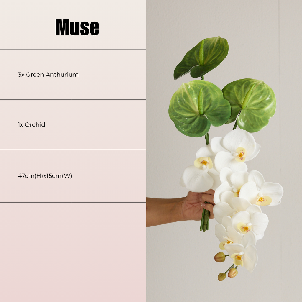 MUSE