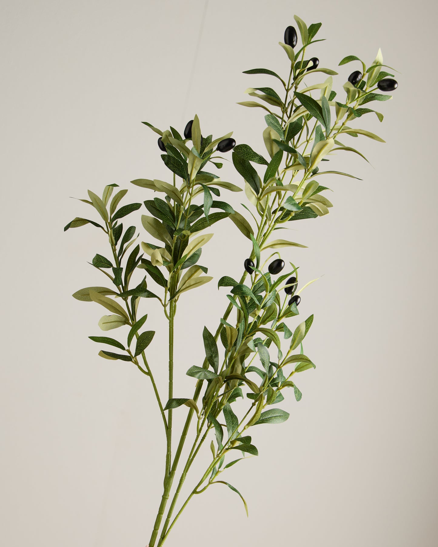 XL OLIVE SPRAY IN GREEN