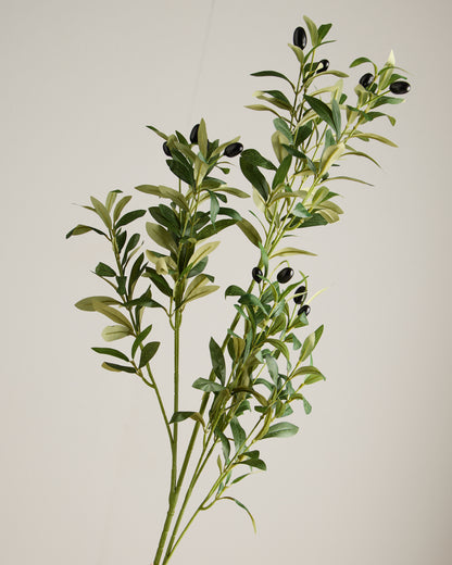 XL OLIVE SPRAY IN GREEN