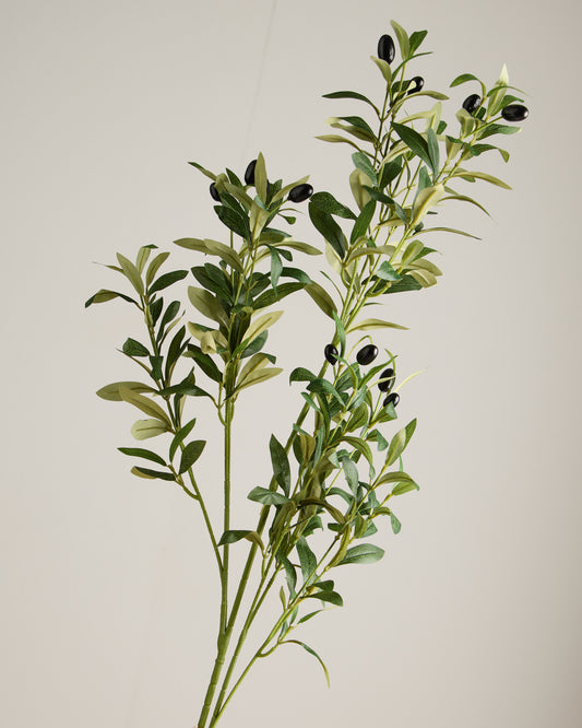 XL OLIVE SPRAY IN GREEN