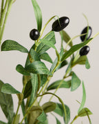 XL OLIVE SPRAY IN GREEN