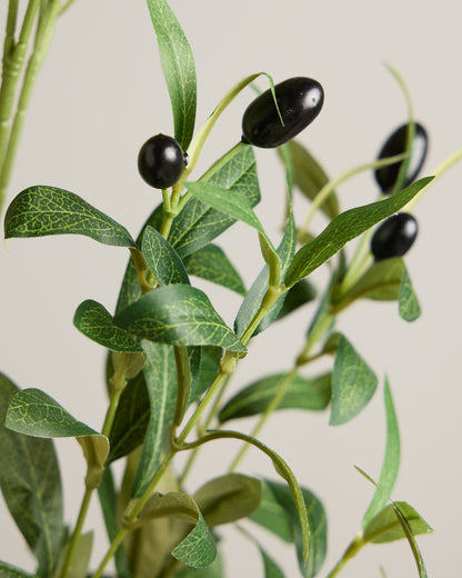 XL OLIVE SPRAY IN GREEN