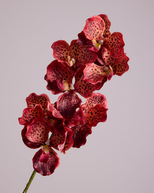 LUXURY REAL TOUCH ORCHIDS BURNT ORANGE