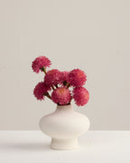 ALLIUM TRIO IN HOT PINK