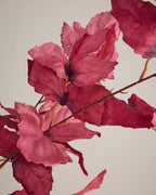 AUTUMNAL LEAF SPRAY IN PINK
