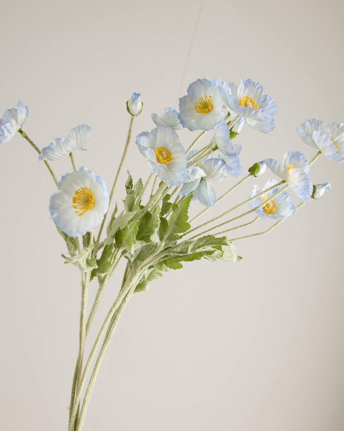 SILK POPPY IN LIGHT BLUE