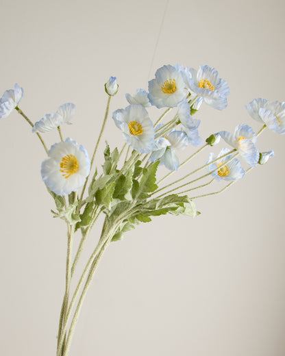 SILK POPPY IN LIGHT BLUE