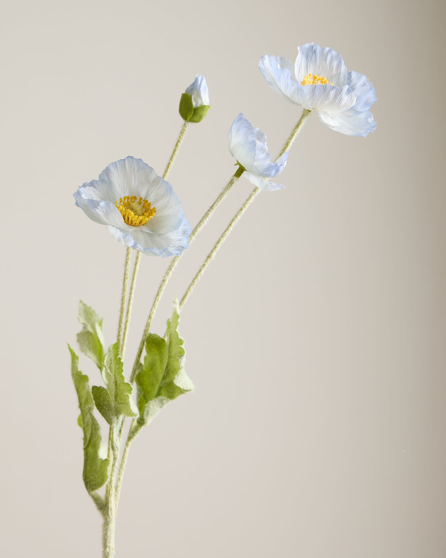 SILK POPPY IN LIGHT BLUE