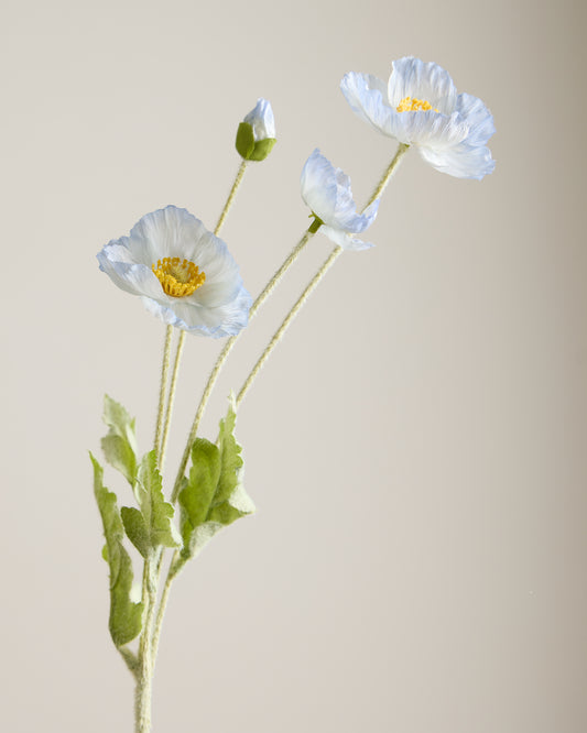 SILK POPPY IN LIGHT BLUE