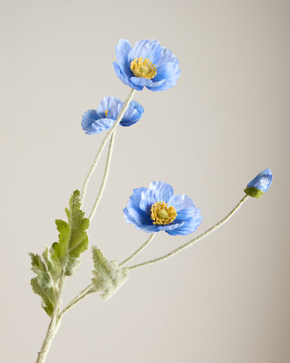 SILK POPPY IN DEEP BLUE