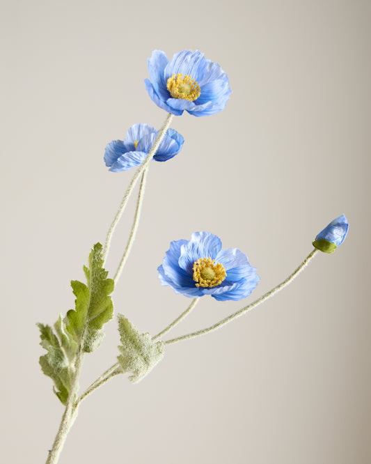 SILK POPPY IN DEEP BLUE