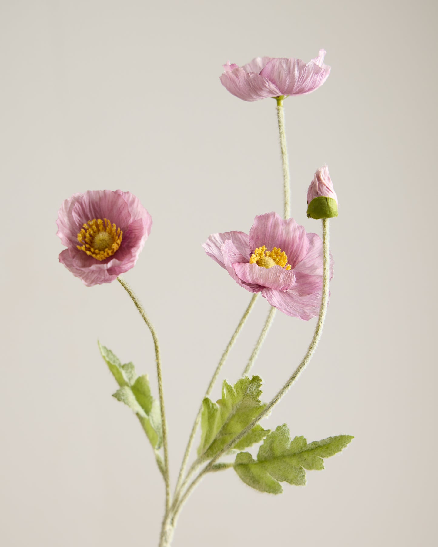 SILK POPPY IN DUSTY PURPLE