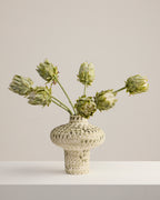 GREEN PROTEA