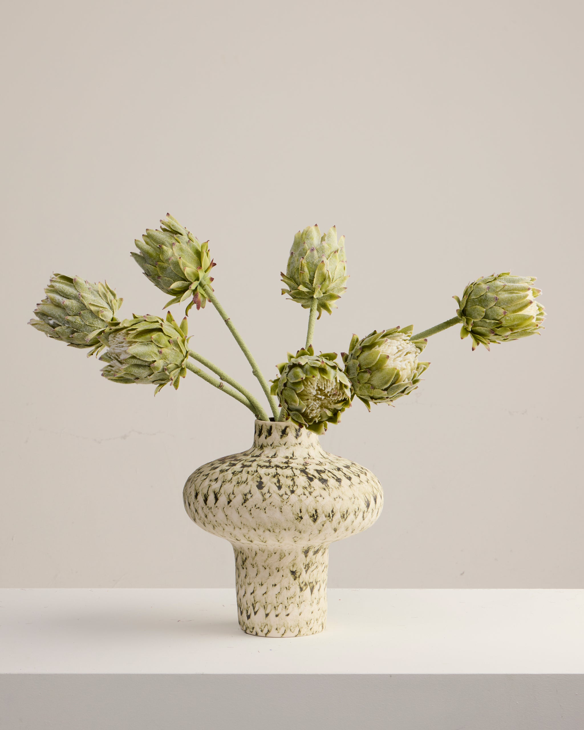 GREEN PROTEA