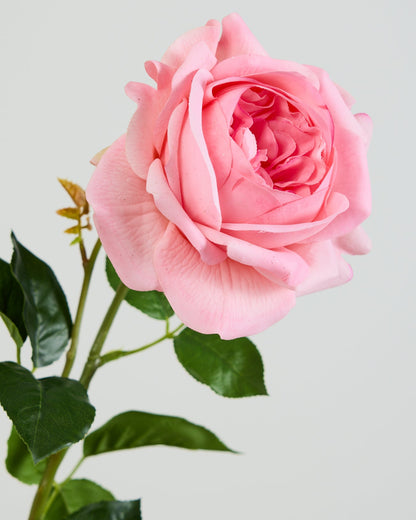 REAL TOUCH PEONY PINK